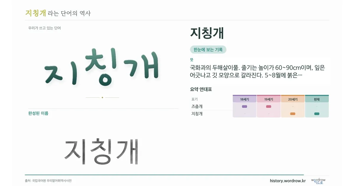 지칭개 대표 이미지