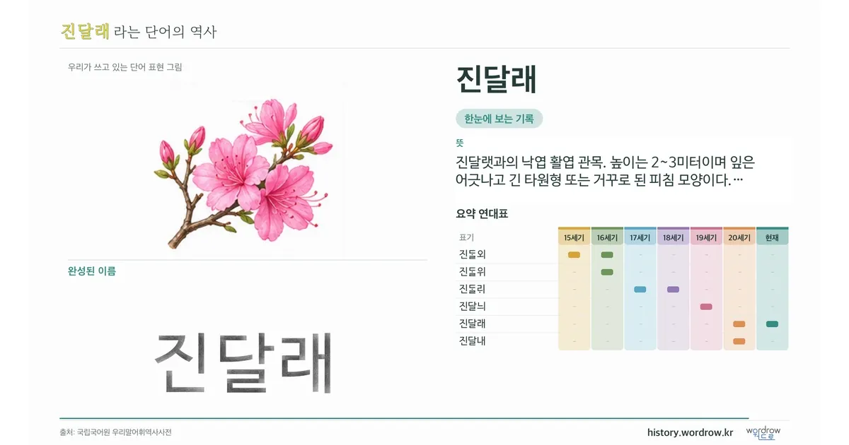 진달래 대표 이미지