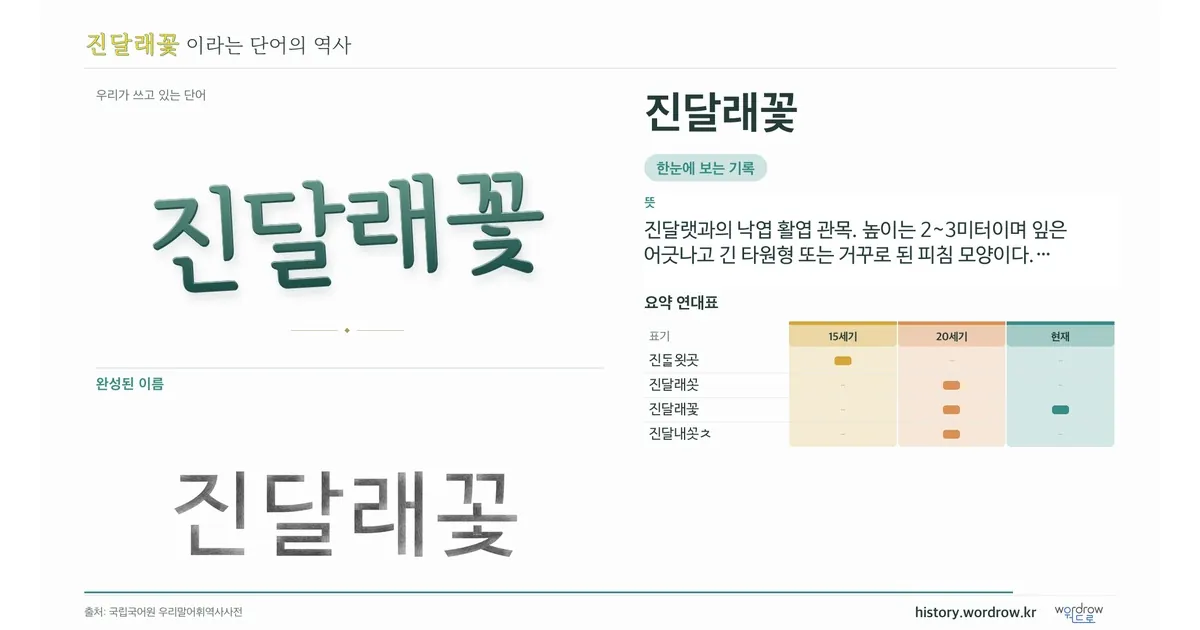 진달래꽃 대표 이미지