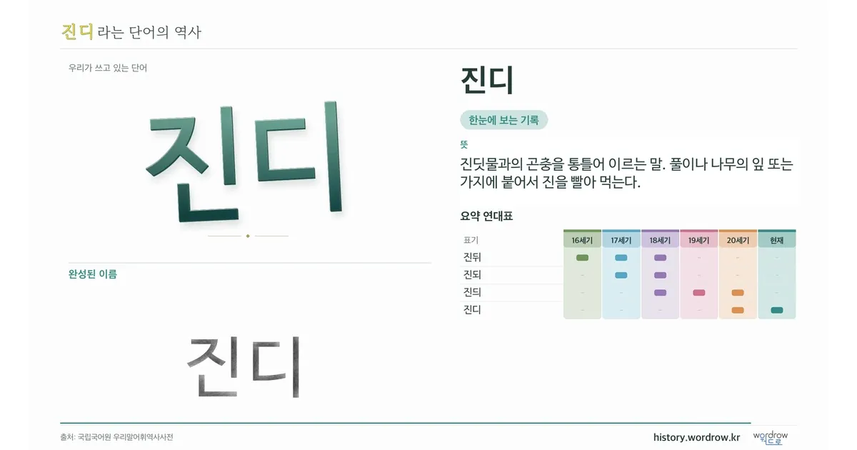 진디 대표 이미지