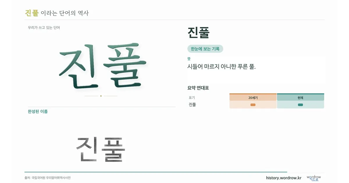 진풀 대표 이미지