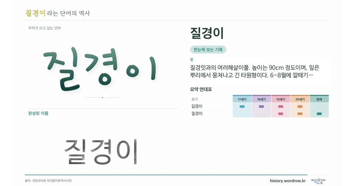 질경이 대표 이미지