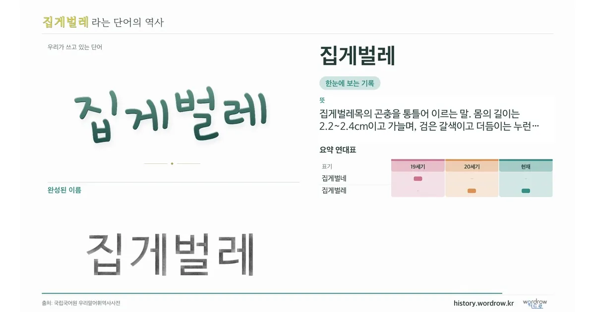 집게벌레 대표 이미지