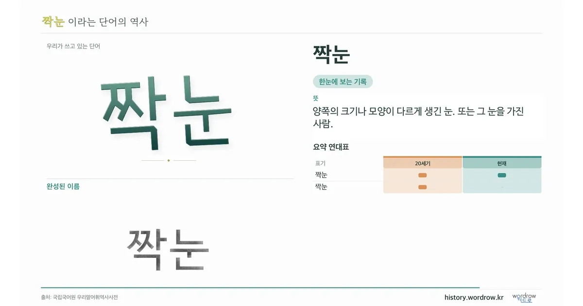 짝눈 대표 이미지