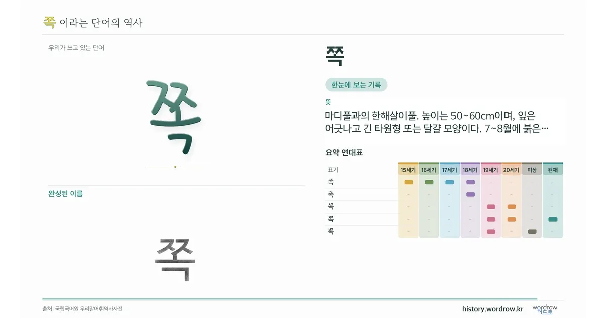 쪽 대표 이미지