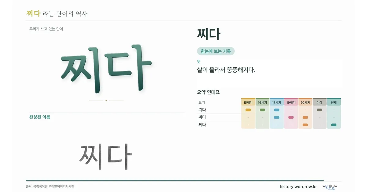 찌다 대표 이미지