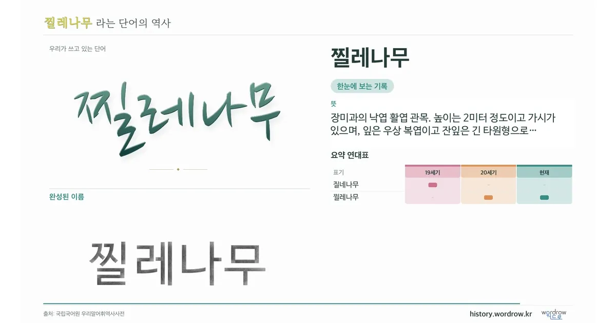 찔레나무 대표 이미지