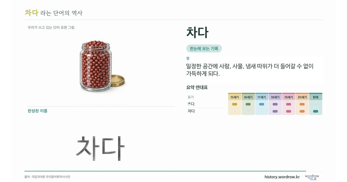 차다 대표 이미지