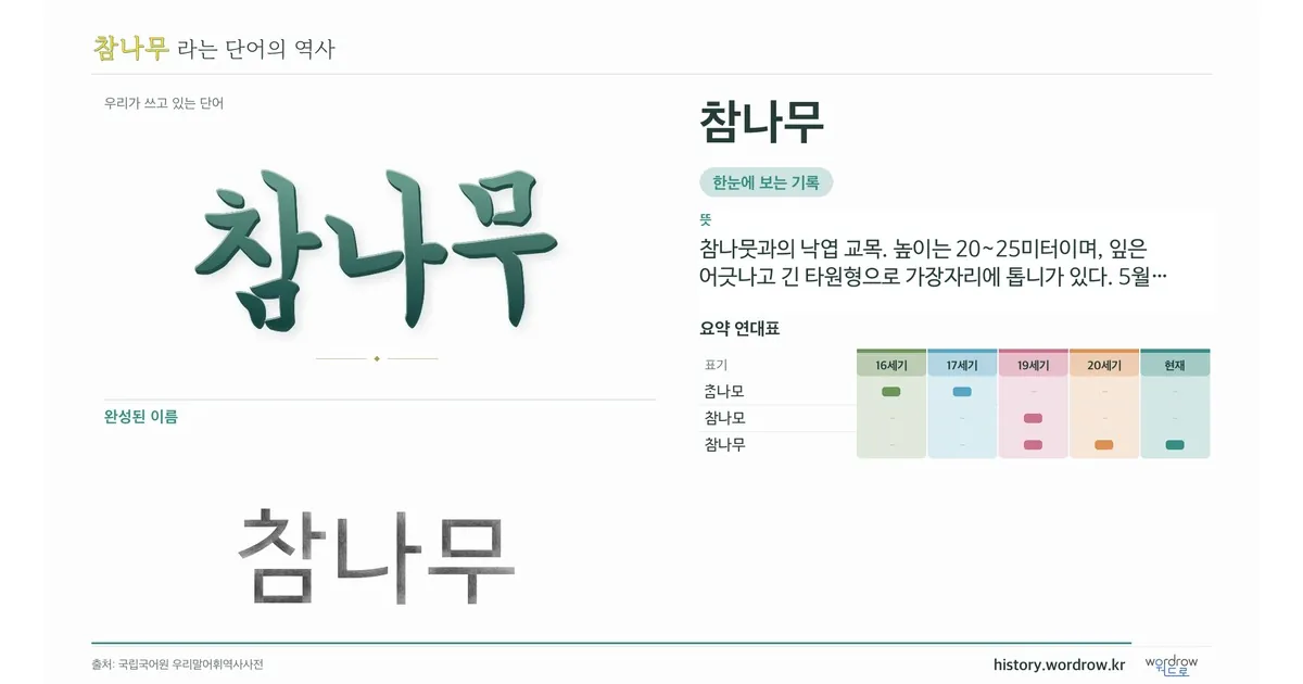 참나무 대표 이미지