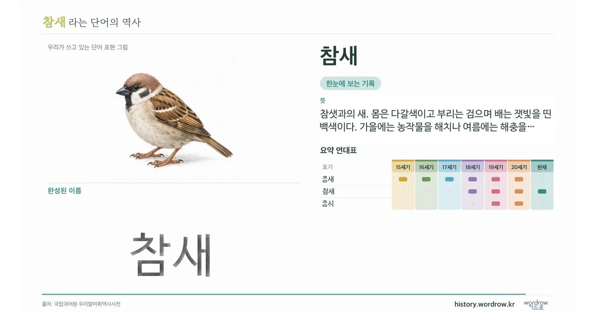 참새 대표 이미지
