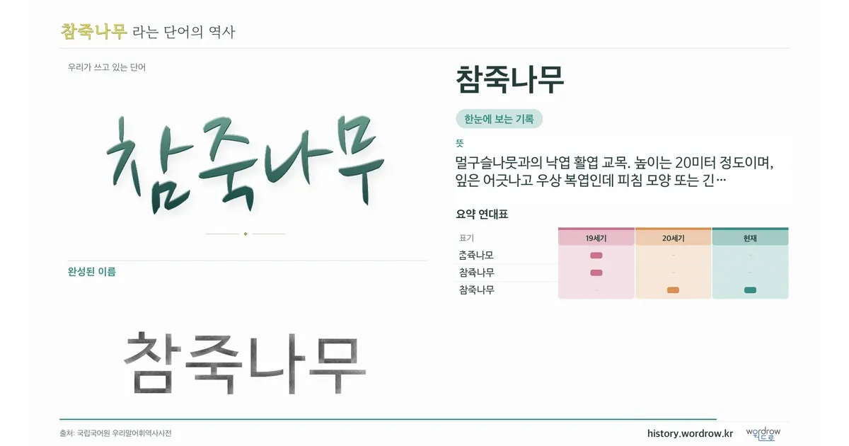 참죽나무 대표 이미지