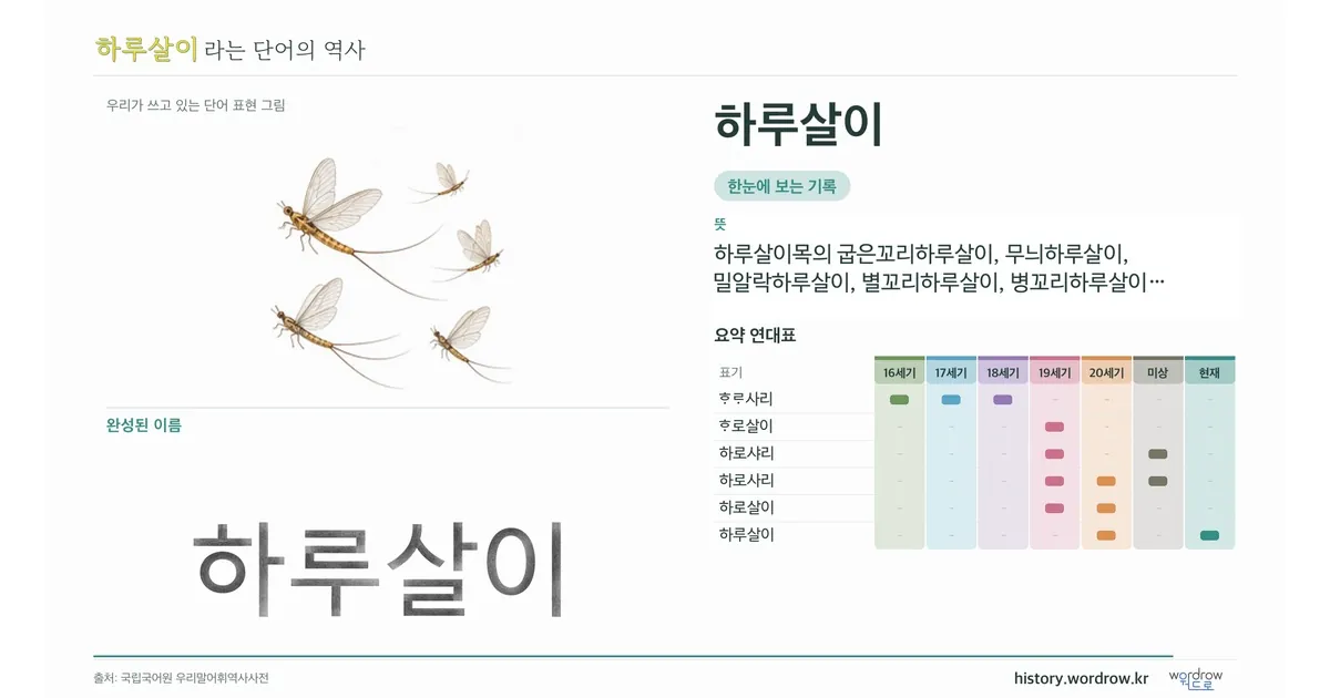 하루살이 대표 이미지