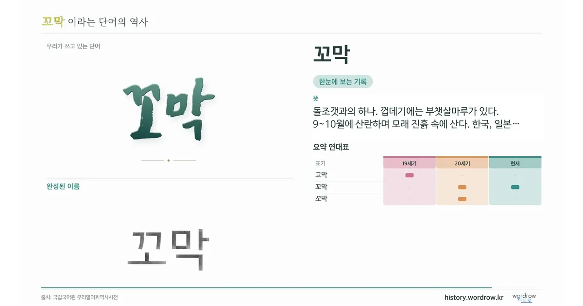 꼬막 대표 이미지