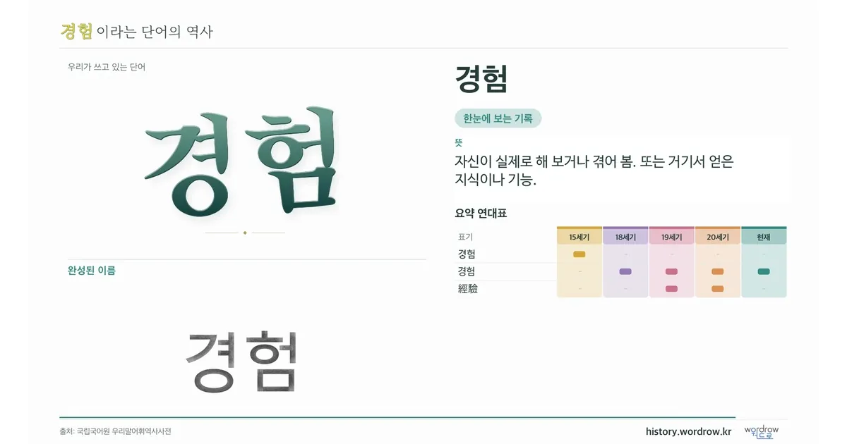 경험 대표 이미지