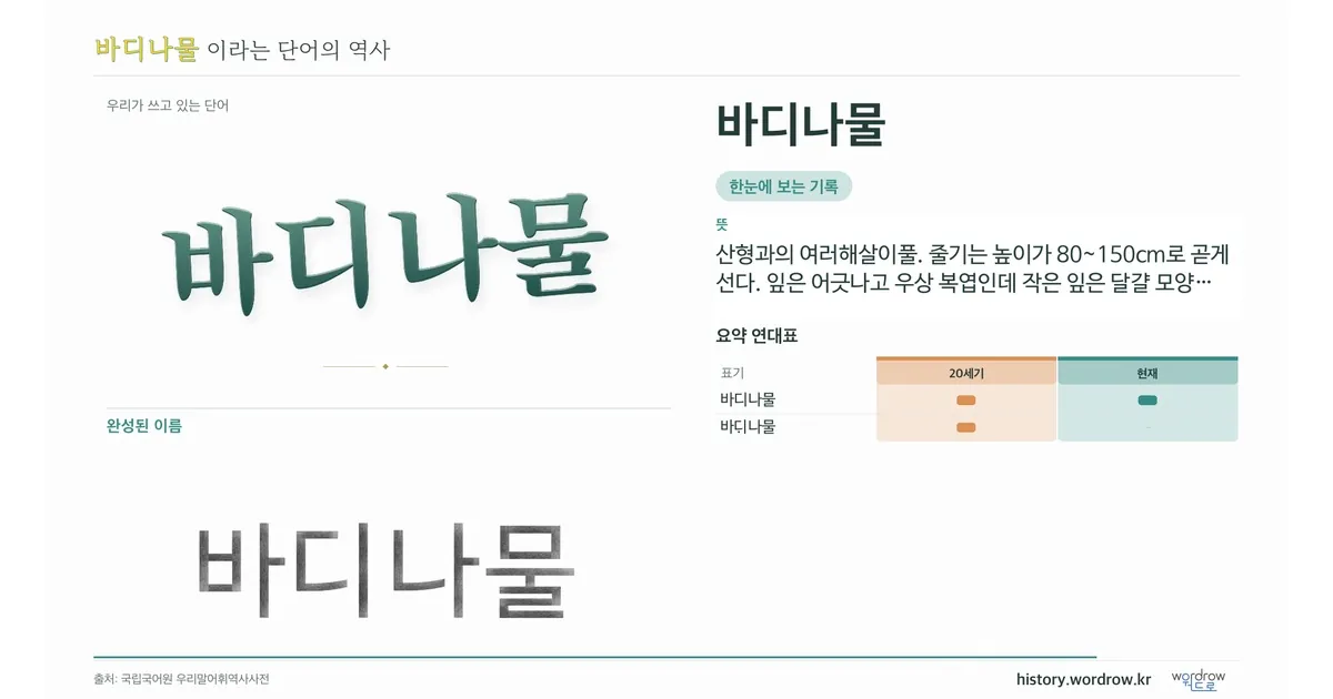 바디나물 대표 이미지