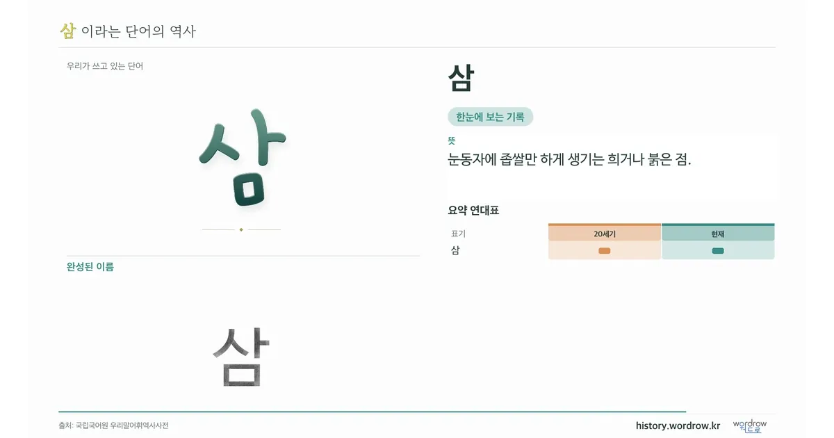 삼 대표 이미지
