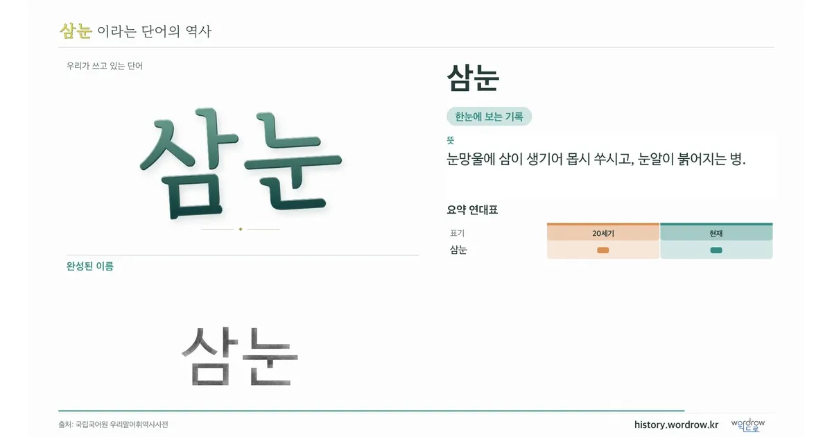 삼눈 대표 이미지