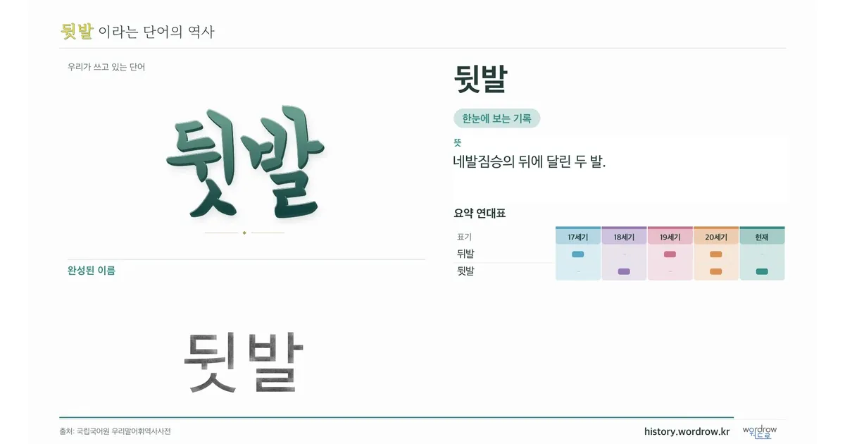뒷발 대표 이미지