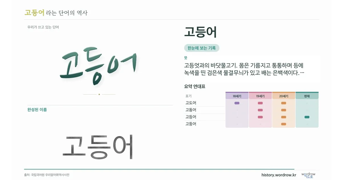 고등어 대표 이미지