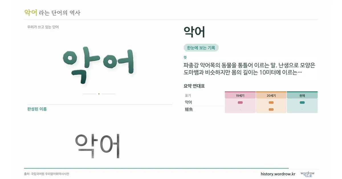 악어 대표 이미지