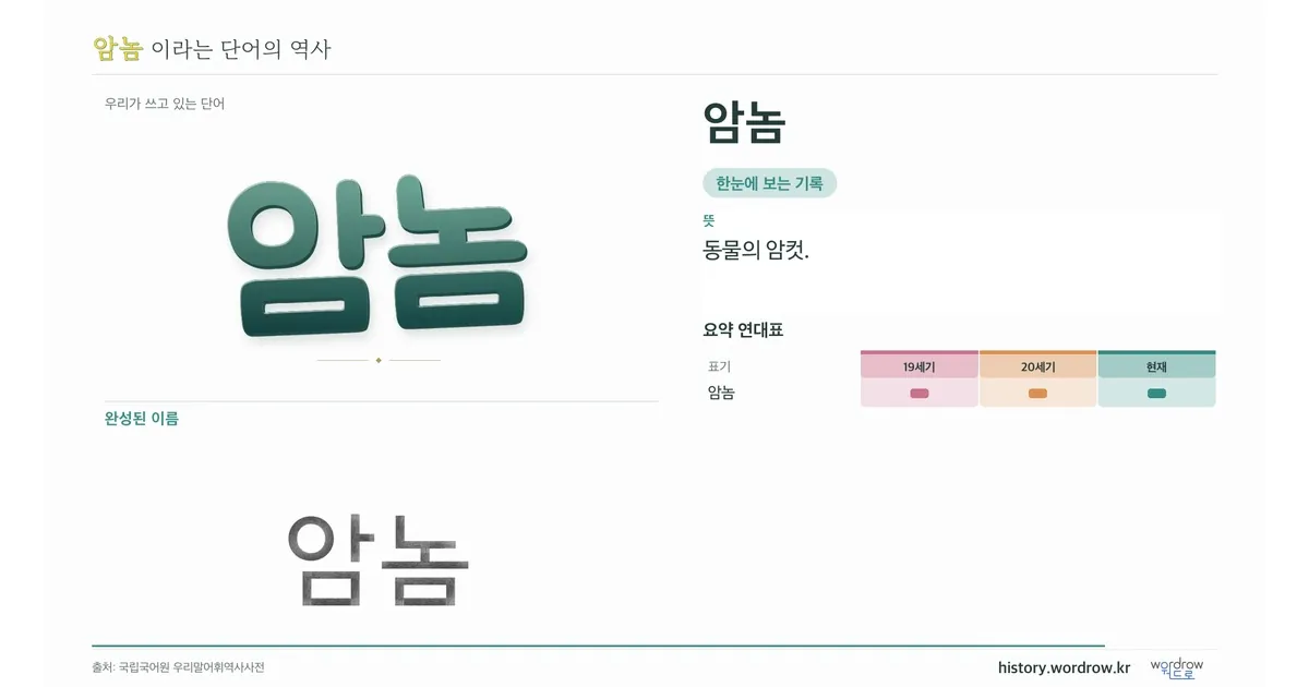 암놈 대표 이미지