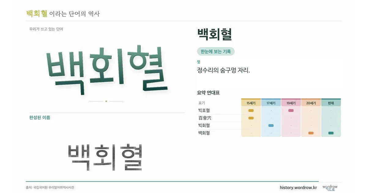 백회혈 대표 이미지