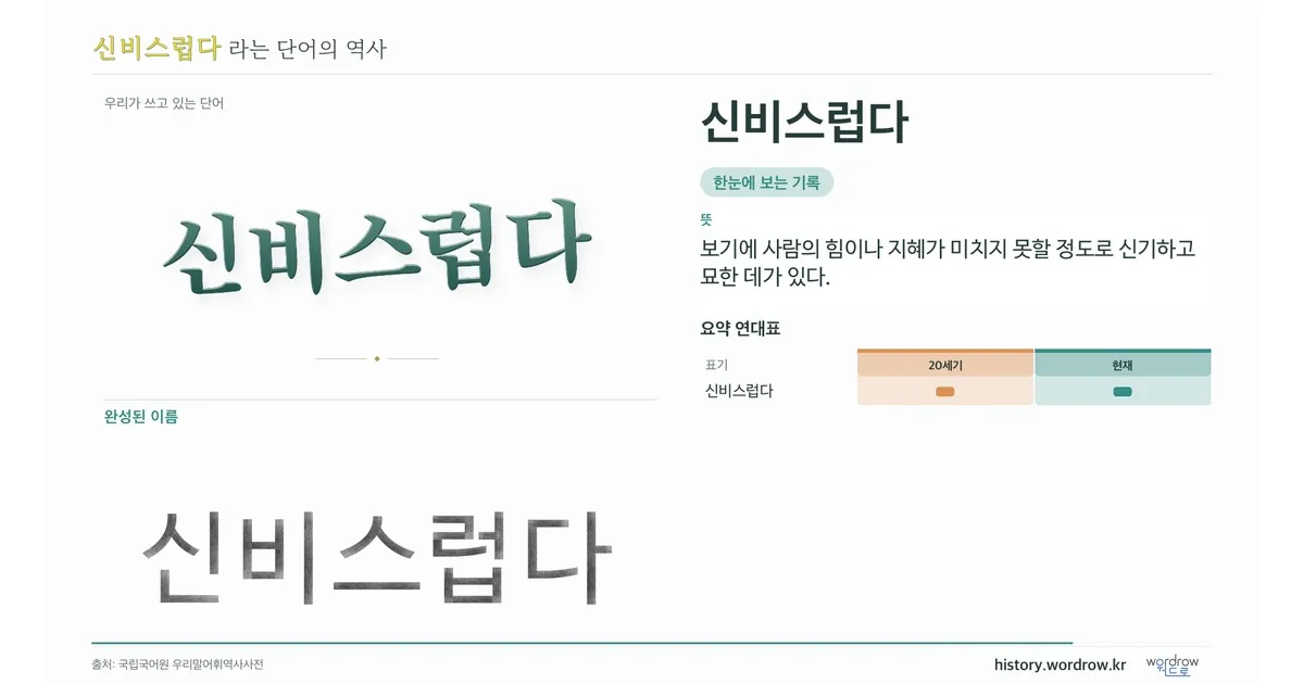 신비스럽다 대표 이미지