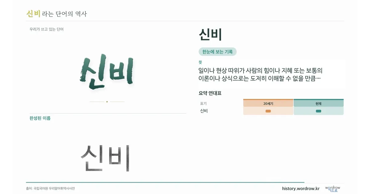 신비 대표 이미지