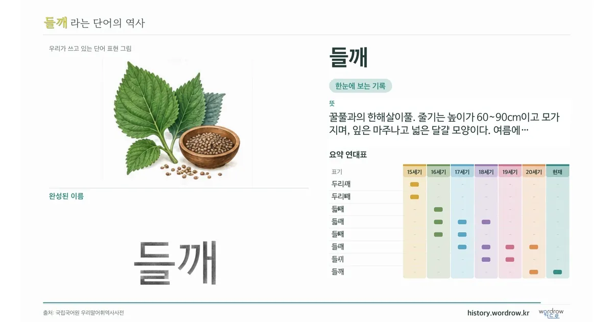 들깨 대표 이미지