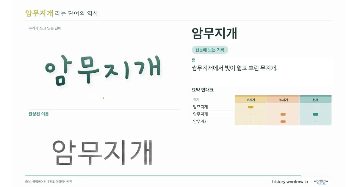 암무지개 대표 이미지