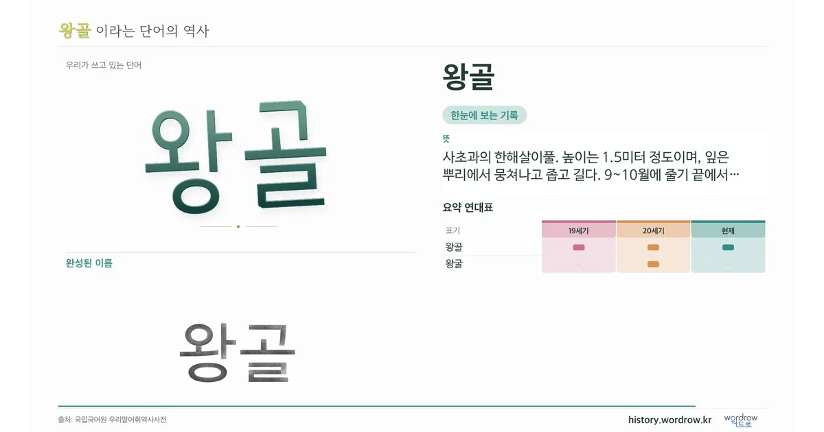 왕골 대표 이미지