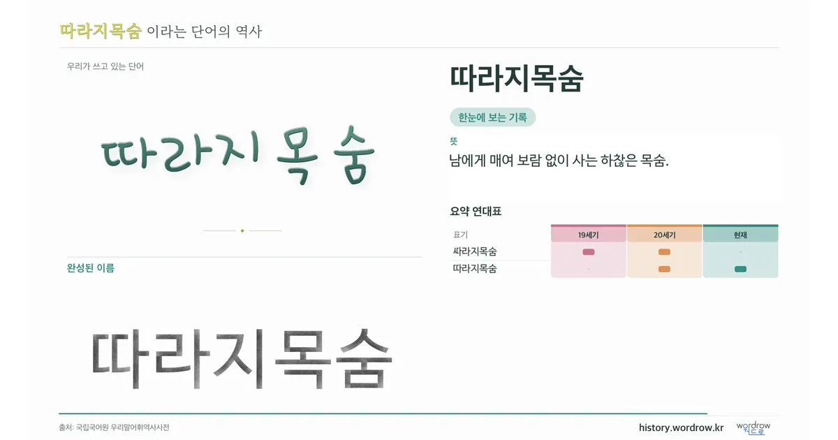 따라지목숨 대표 이미지