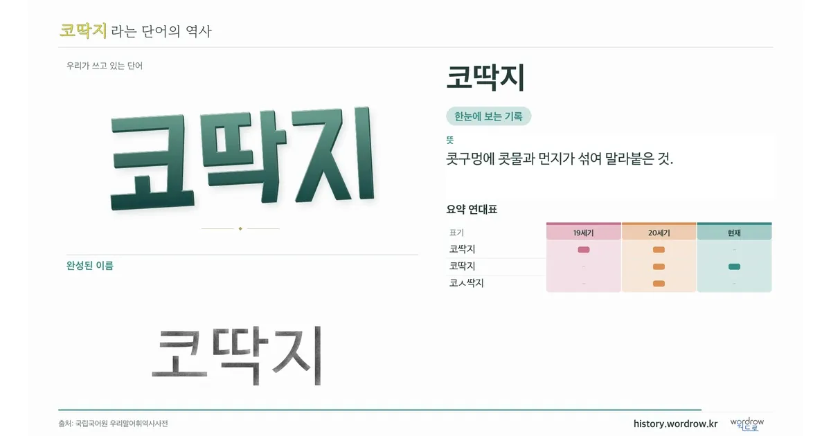 코딱지 대표 이미지