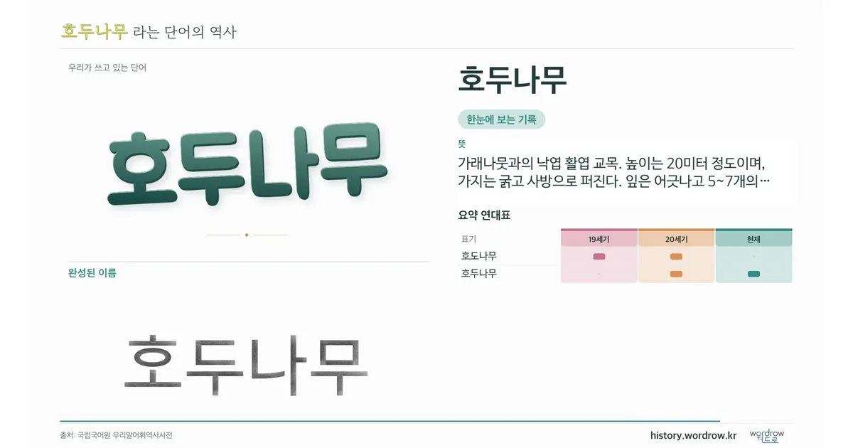 호두나무 대표 이미지