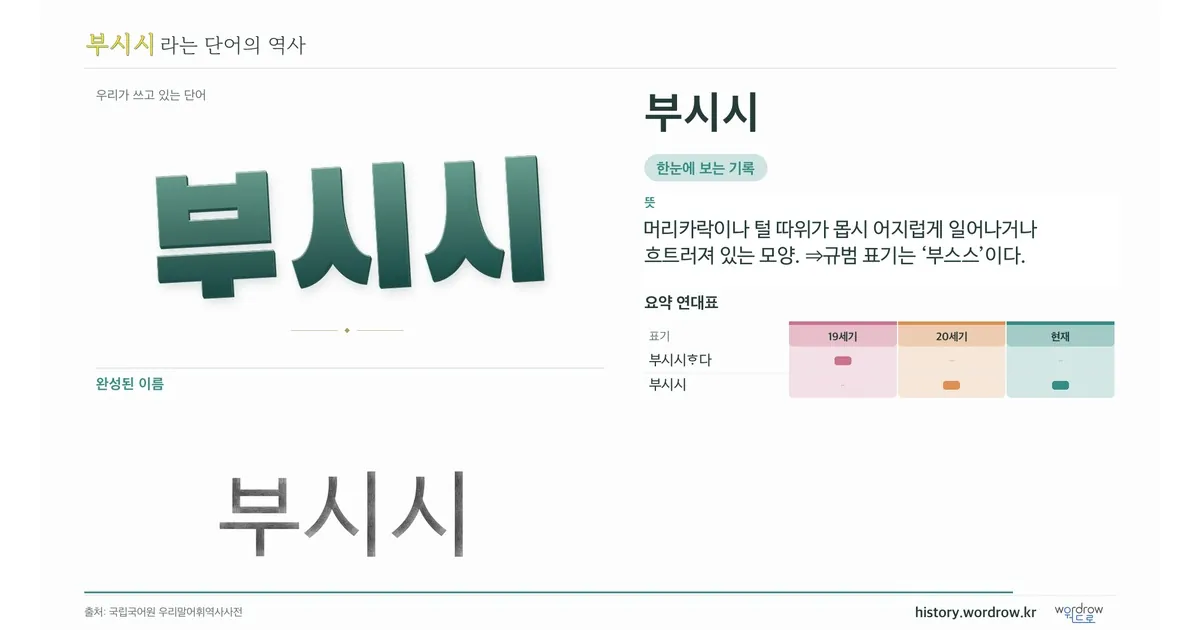 부시시 대표 이미지