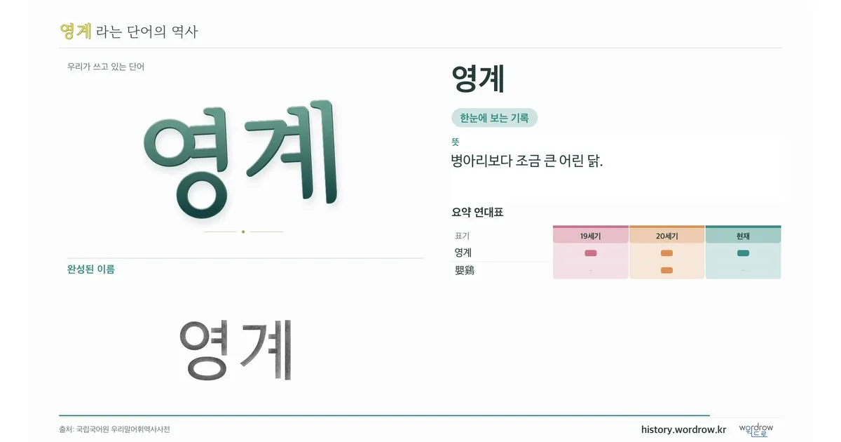 영계 대표 이미지
