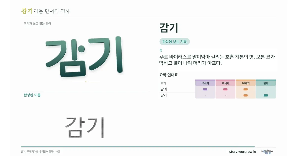 감기 대표 이미지