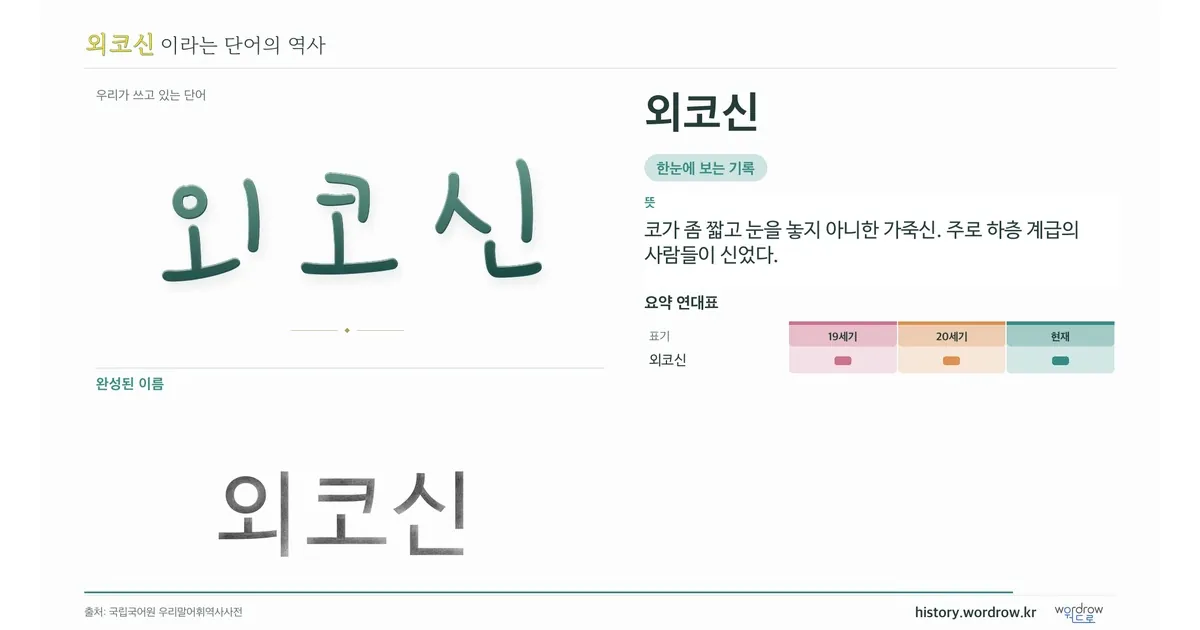 외코신 대표 이미지