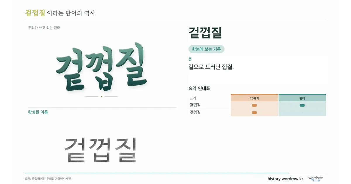겉껍질 대표 이미지