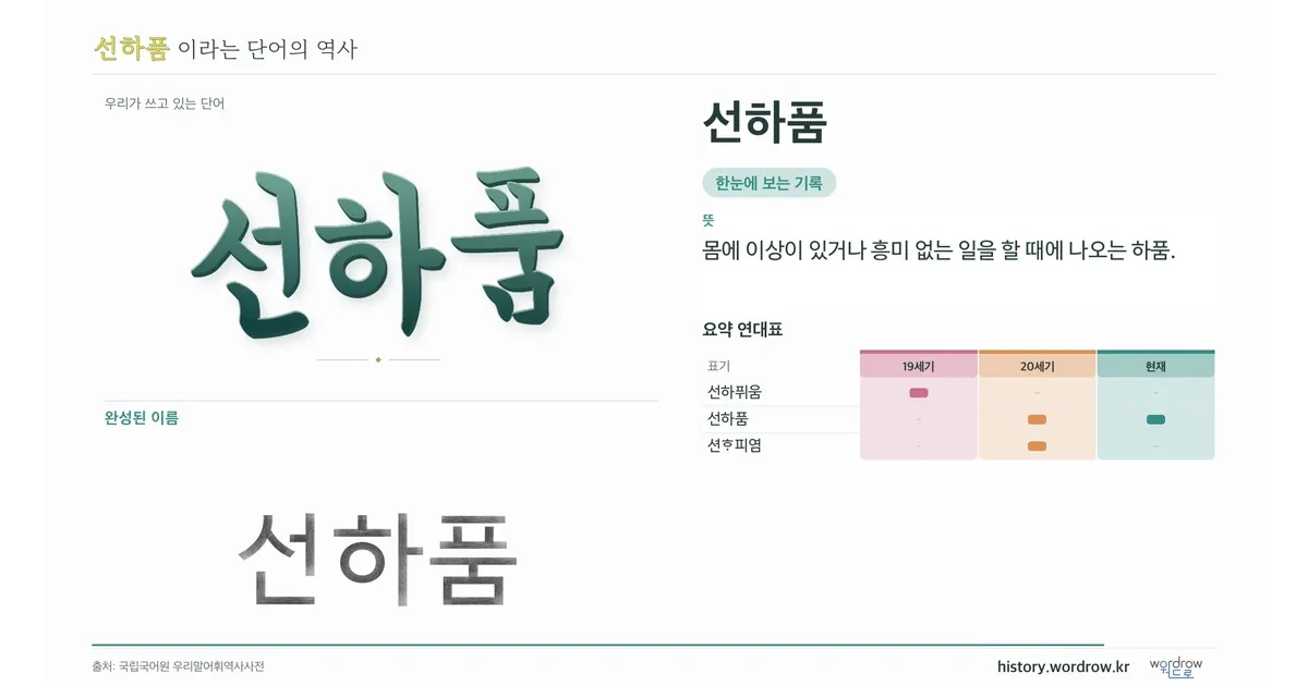 선하품 대표 이미지