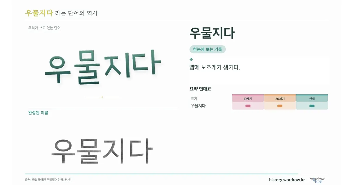 우물지다 대표 이미지