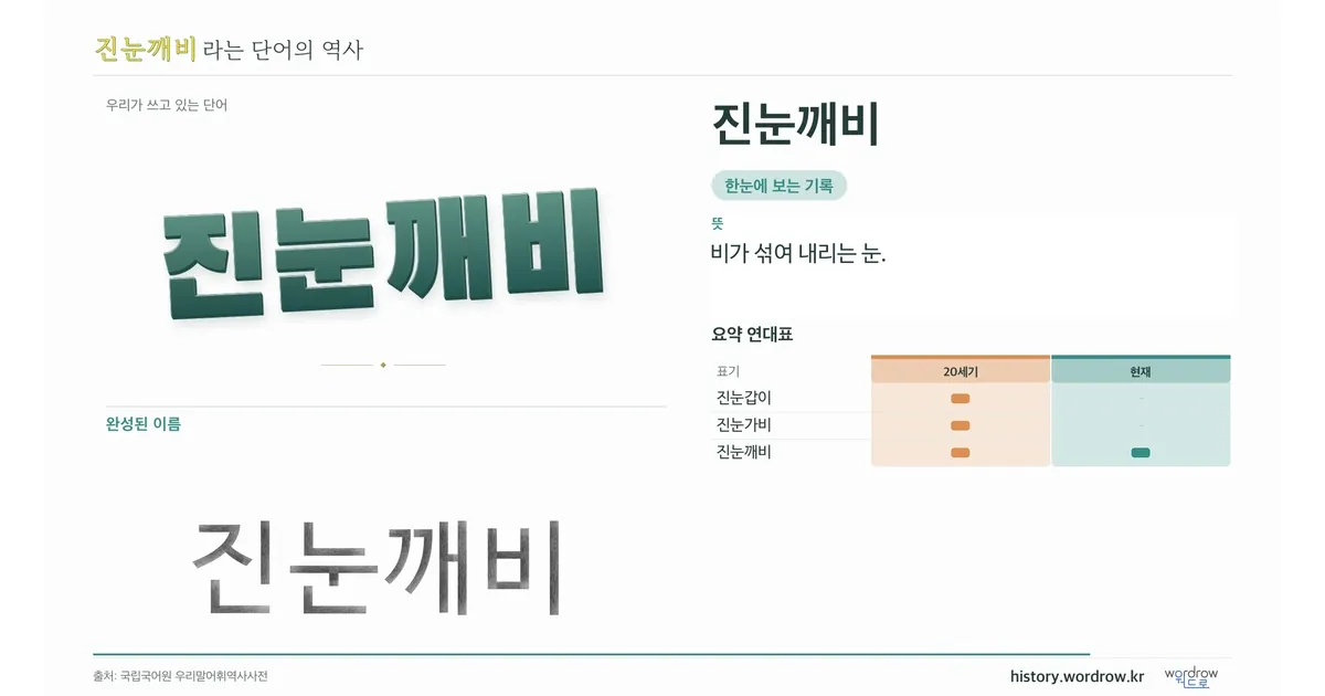 진눈깨비 대표 이미지