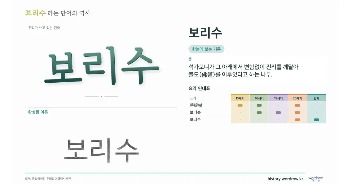 보리수 대표 이미지