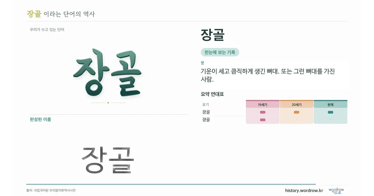 장골 대표 이미지