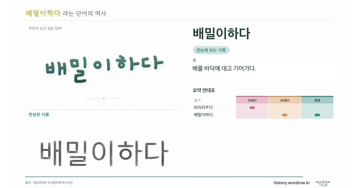 배밀이하다 대표 이미지