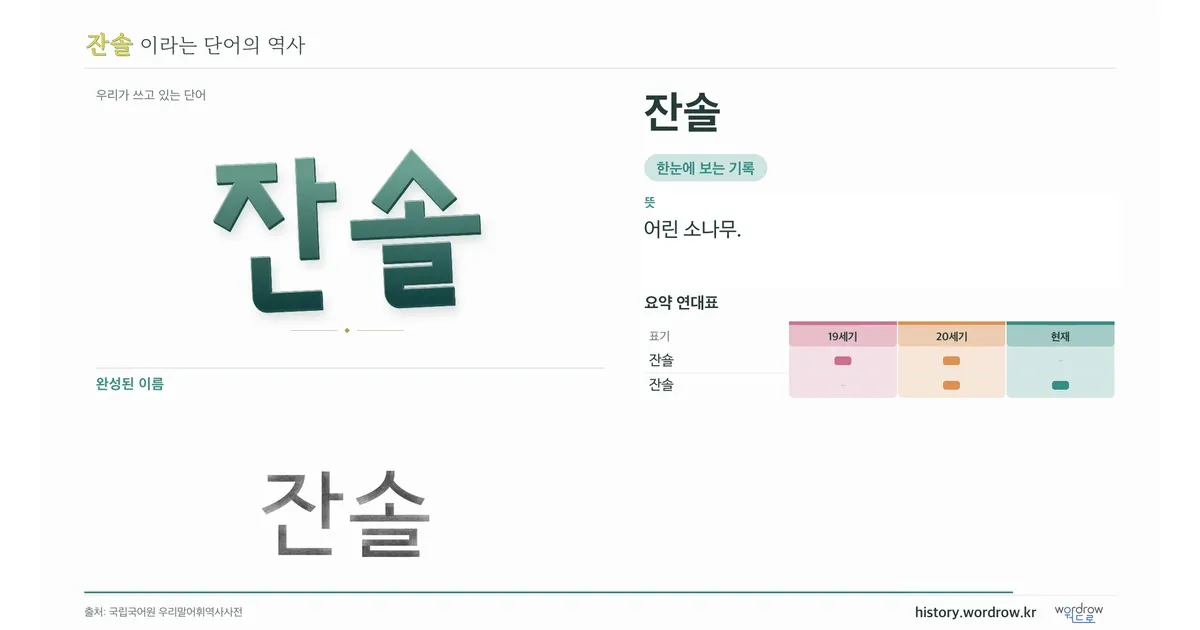 잔솔 대표 이미지
