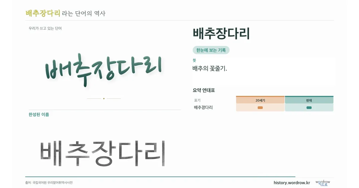 배추장다리 대표 이미지