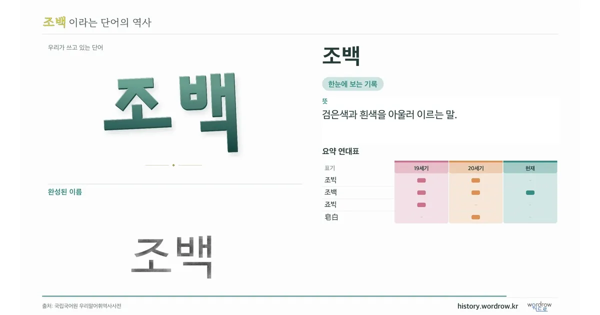 조백 대표 이미지