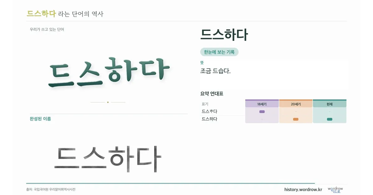 드스하다 대표 이미지