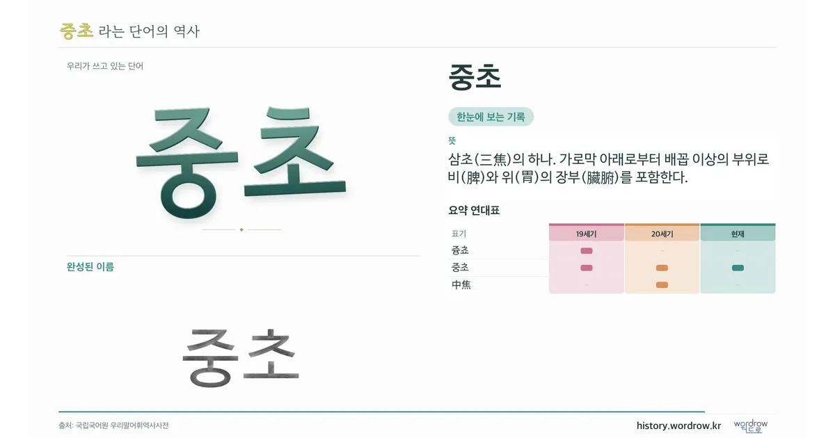 중초 대표 이미지